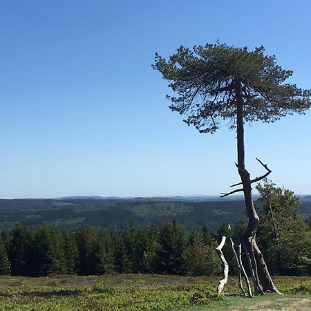 Berg- Und Seeblick Winterberg Dış mekan fotoğraf
